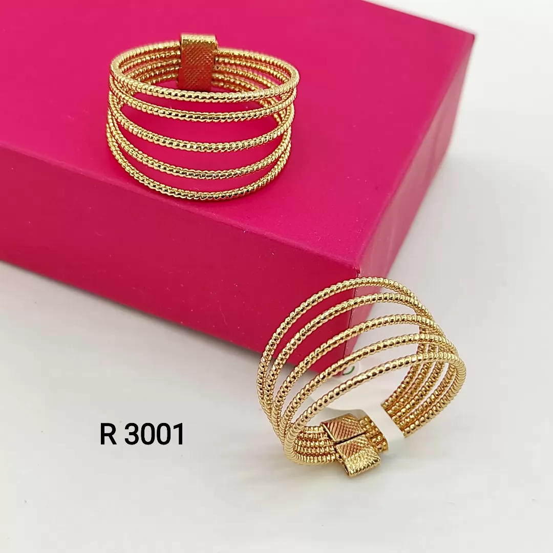 R 3001
